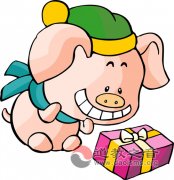 属猪的人2013年运程