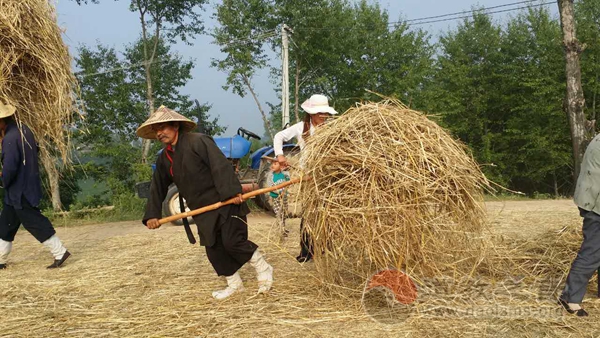 贫能养道——宝鸡龙门洞道众的尘劳修行生活