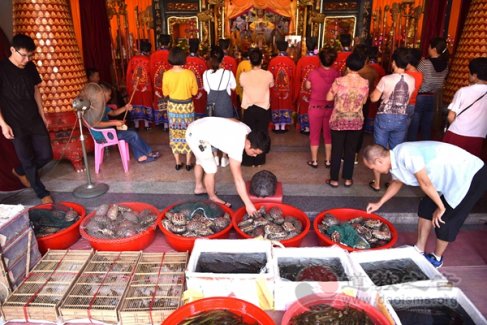 广东陆丰市妈祖文化研究会开展保护环境活动