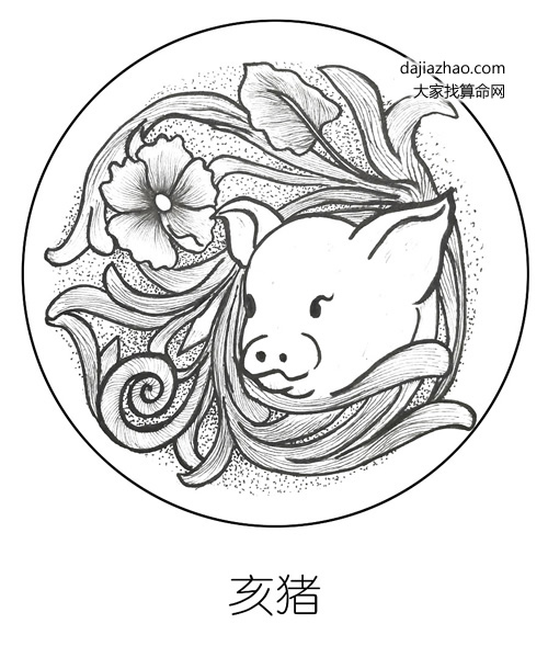 属猪人2019年运势及运程