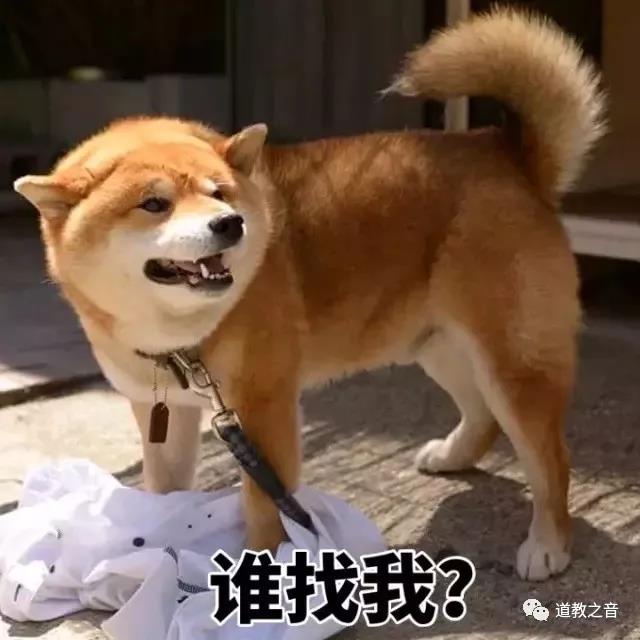 小编先给大家拜个早年！