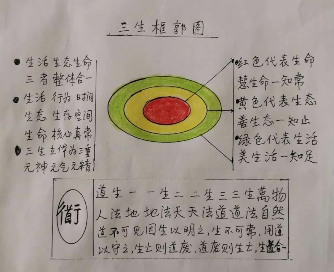 美善慧导论：关于生活—生态—生命的思考