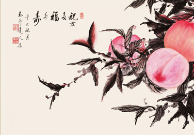 科学和宗教、伪科学的区别